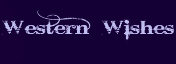 Western Wishes Yorkshire Terriers, Custom Bits and Bead Work